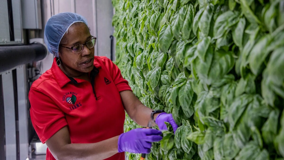 NPRMidwestNews's tweet card. Farmers who were promised funding through the federal Regional Food Business Centers have been left in limbo after the Trump administration shut down the program. The U.S. Department of Agriculture...