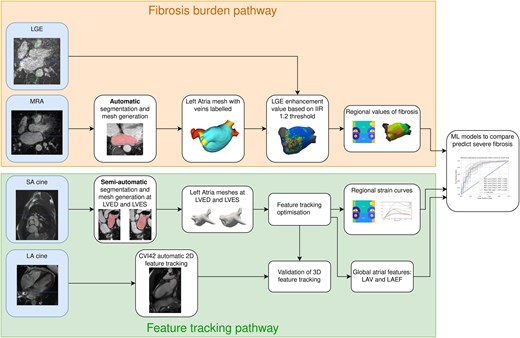 ShehabAnwer's tweet card. AbstractAims. To determine whether atrial biomechanics measured using 3D regional strain, left atrial volume (LAV), and left atrial emptying fraction (LAEF