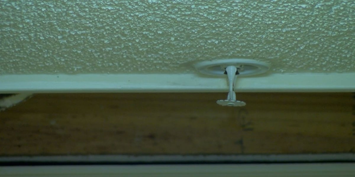 CAMManager's tweet card. Legislation is set to be heard by a Senate committee next week that would require older high rise condominiums in Florida to have sprinkler systems by January 2023.