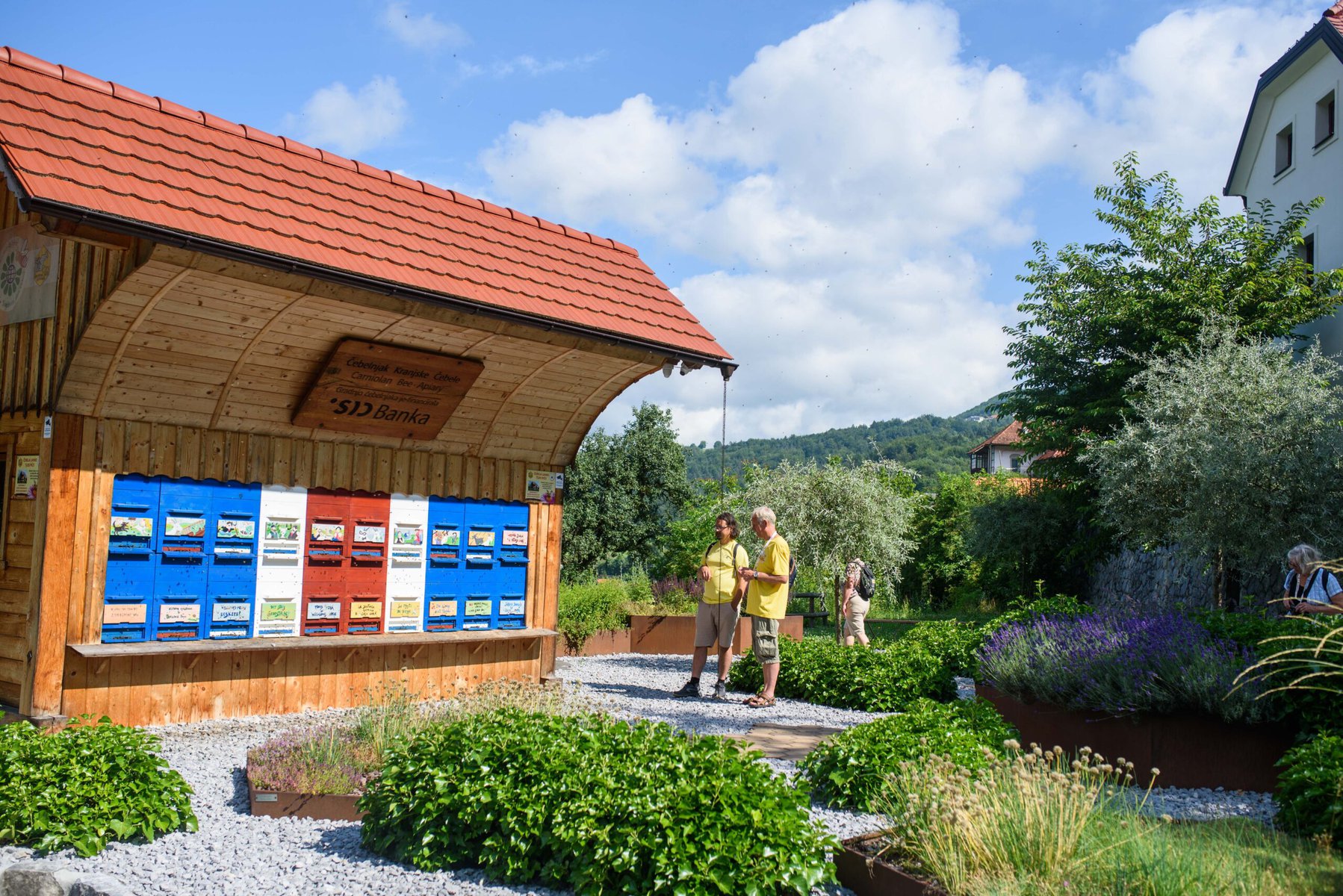 beegeek's tweet card. From tree planting and delayed mowing to school clubs and interactive “Bee Paths,” Slovenia is putting pollinators first.