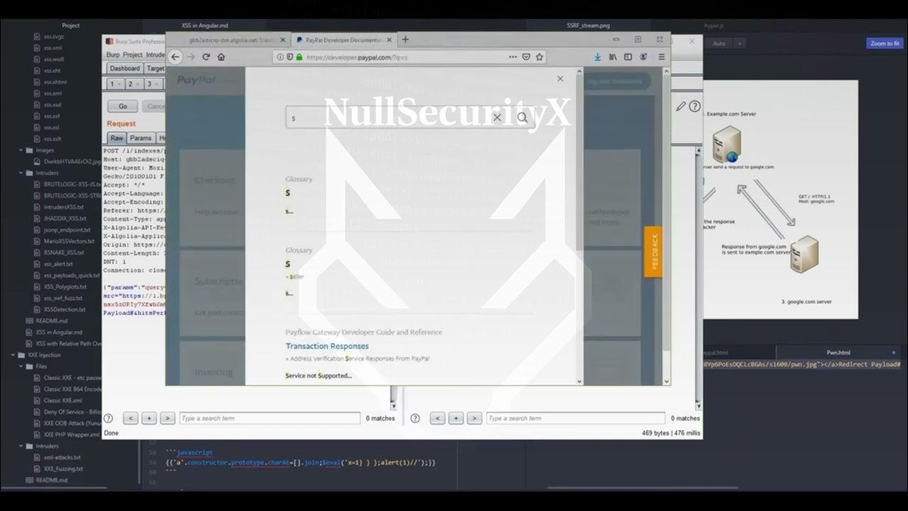 NullSecurityX's tweet card. HTML Injection Discovered on PayPal by Our Security Team | Full...