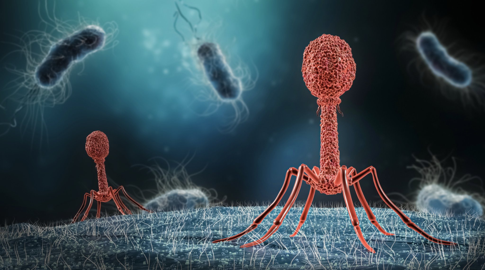 sharonAPevsner's tweet card. In peer-reviewed study, Weizmann researchers tout ‘silver bullet’ approach promising pinpointed suppression of disease-causing microbes in Crohn’s and ulcerative colitis patients