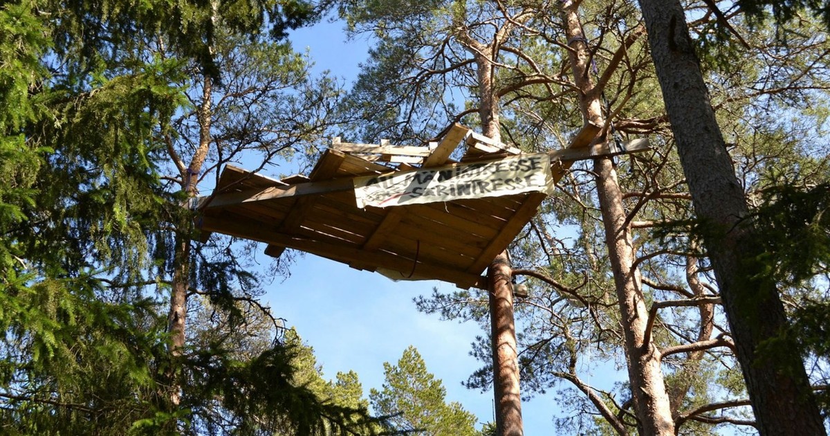 GuLinden's tweet card. Alla är beroende av jord- och skogsbruket.