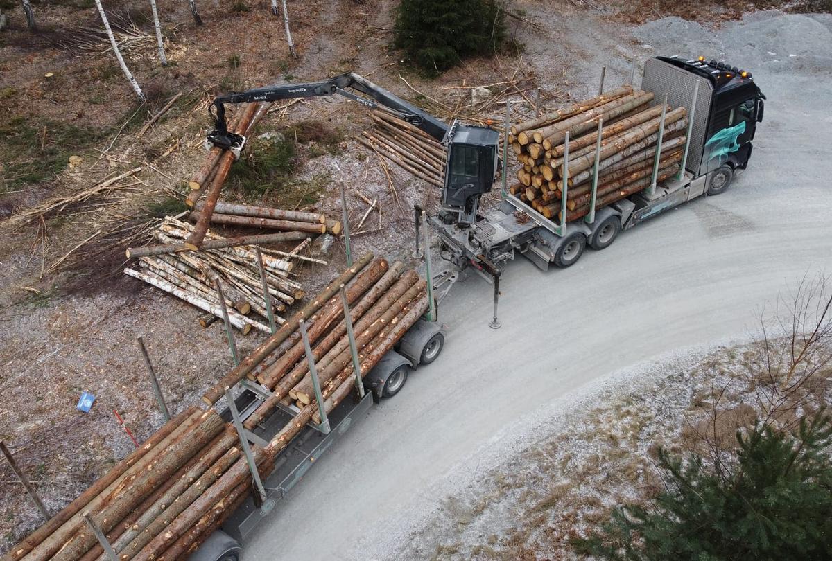 andersed's tweet card. Naturskyddsföreningen efterlyser en räddningsplan för naturen i Sverige.Men det är när statliga myndigheter kommer med planer, program och ”åtgärder” för naturens förbättrande som arter och ekosystem...