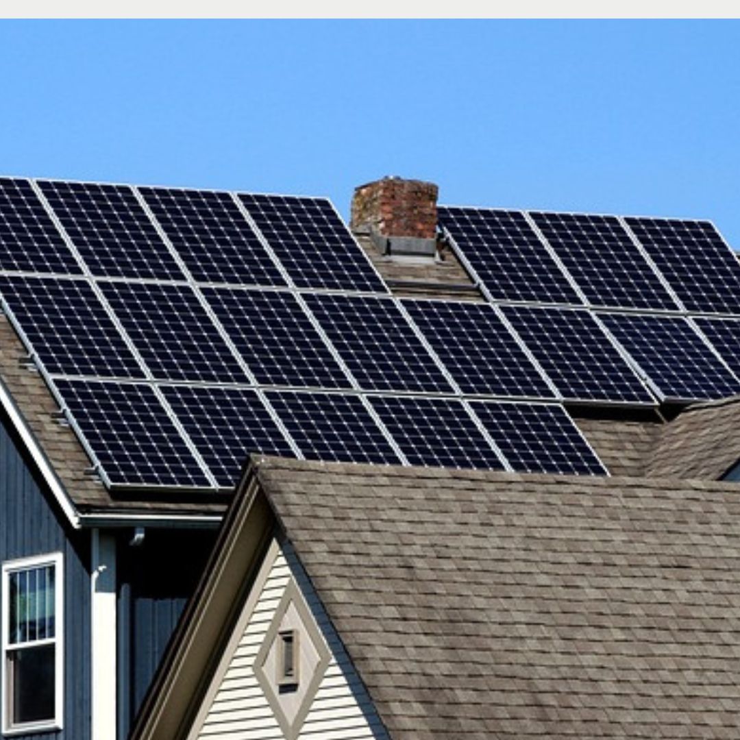 ProtexPCS's tweet card. Solar panels on rooftops provide a warm place for birds. They will nest under the panels to benefit from the protection and shelter they provide.