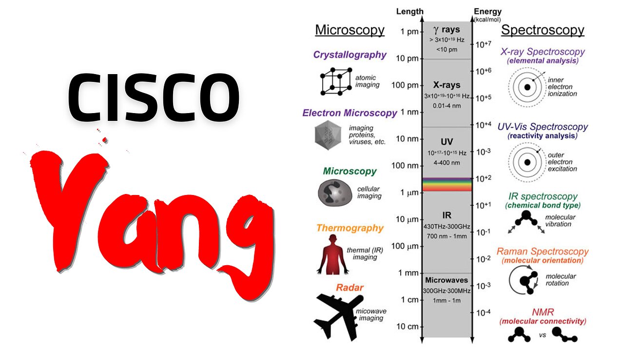 CorinneNokel's tweet card. Cisco Yang June 10, 2024 https://www.bitsofwonder.co/p/a-revolution-in-biology?utm_campaign=post&utm_medium=web https://www.ncbi.nlm.nih.gov/pmc/articles/PMC2975437/ https://www.researchgate.net/publi