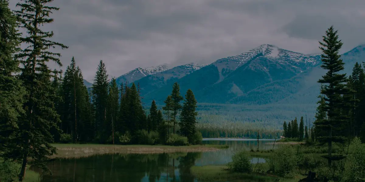 PrivacyEthereum's tweet card. A bug in the BinaryMerkleRoot circuit allowed invalid Merkle tree leaves to produce valid zero-knowledge proofs due to missing constraints.