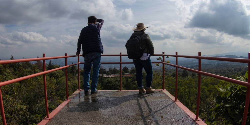 EthikosGlobal's tweet card. A nivel nacional, la ciudad ocupó los últimos lugares en el Índice de Estado de Derecho en México