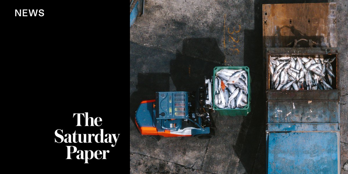 SatPaper's tweet card. Weeks before mass salmon deaths were revealed in Tasmania, the government quietly changed the designation of the bacteria killing the fish – which the industry now admits are being sold from infected