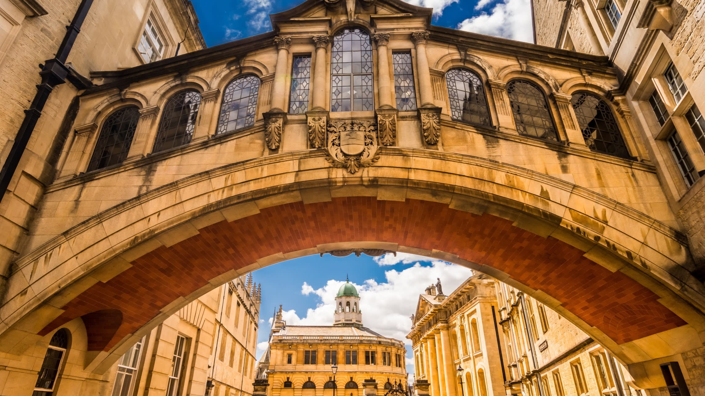 Razavizadeh's tweet card. It’s time to borrow from corporate crib sheets — and if all else fails, creative destruction is a force for good