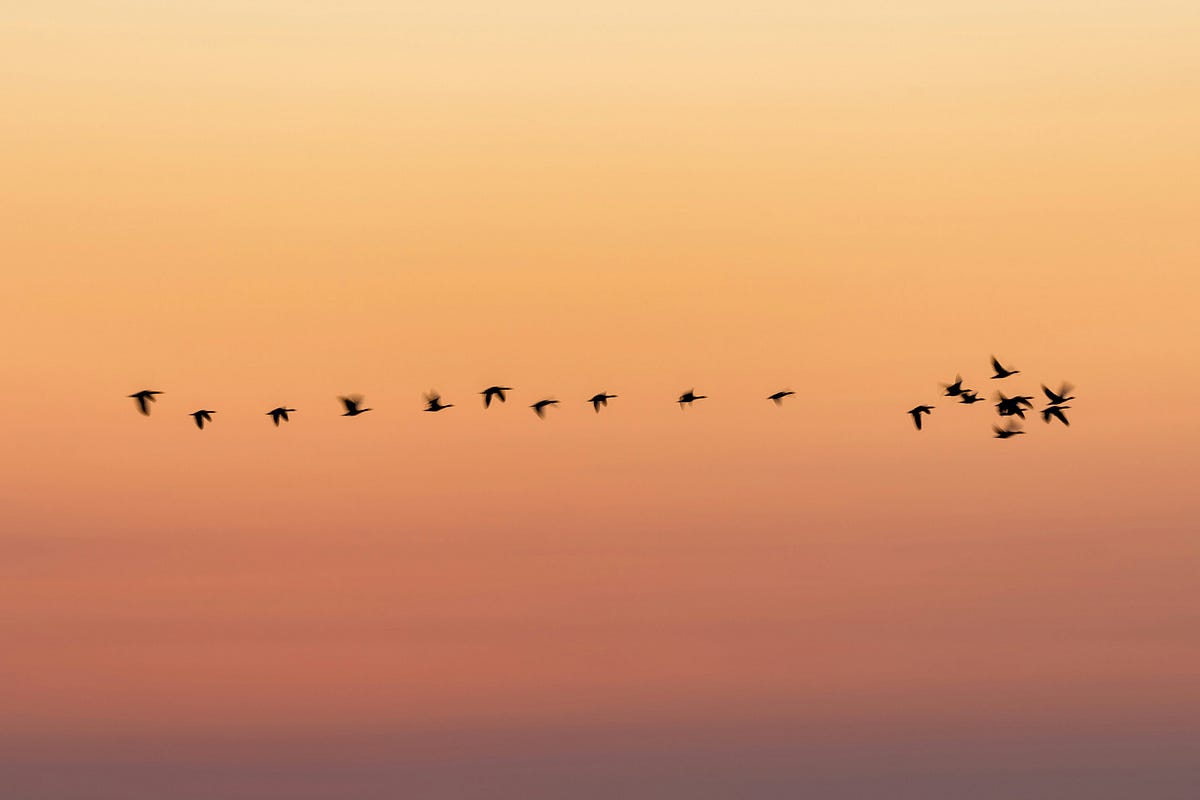 TokenToolbox's tweet card. Migrating to a new ERC-20 contract can be a strategic move for various reasons, such as enhancing token features, addressing security…