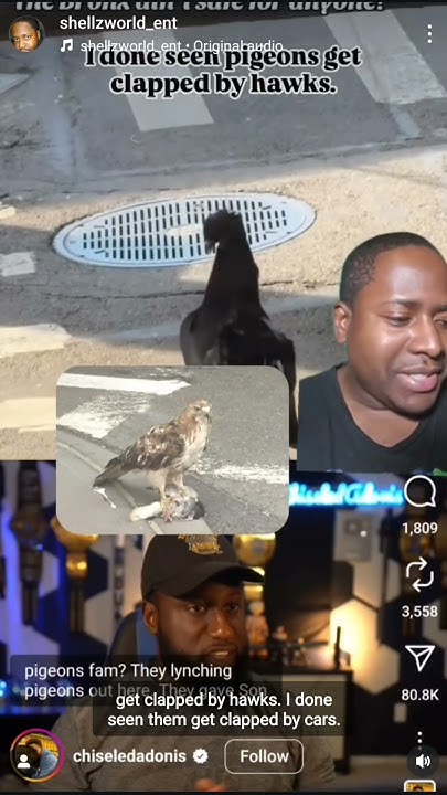 ShellzWorld_Ent's tweet card. Some people have wild ideas about The Bronx 🤣🤣