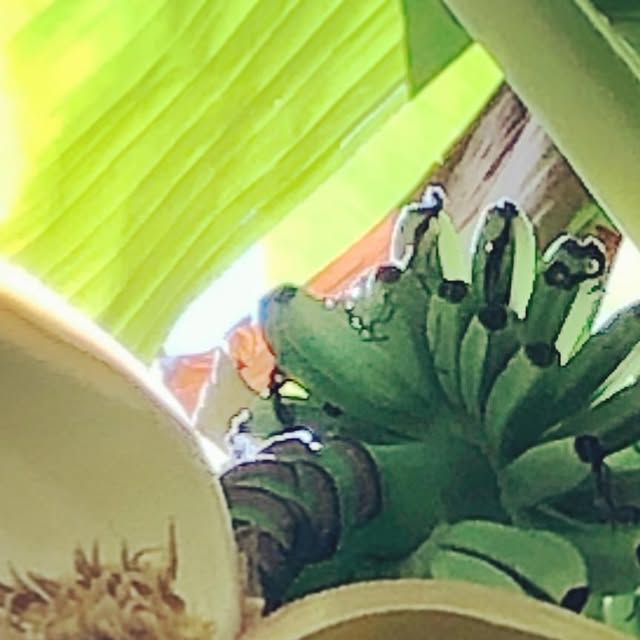 CLTLocalvore's tweet card. @cltlocalvore • Instagram photo