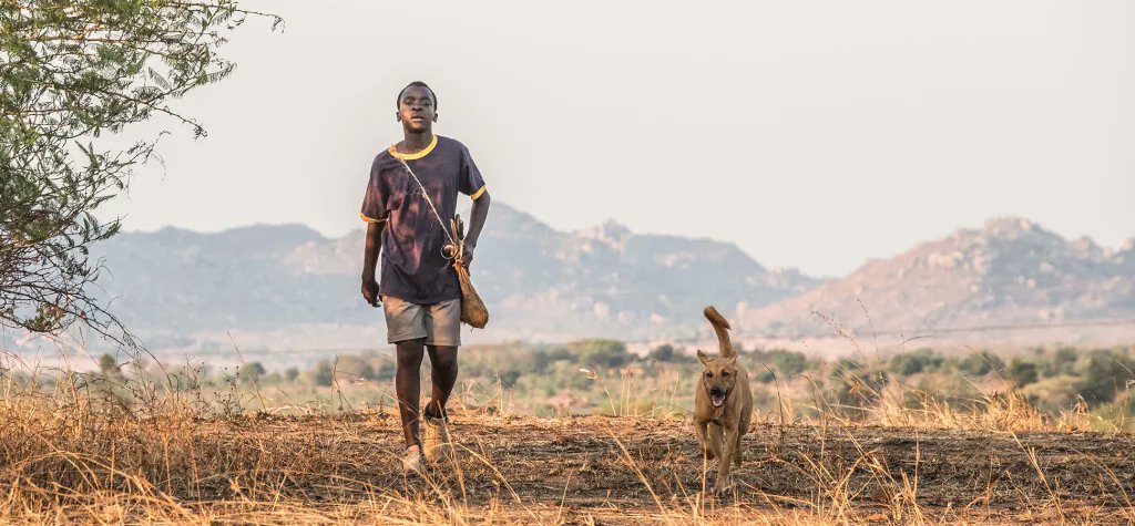 Inc's tweet card. Next year's business movies cover everything from the Theranos fraud case to the Cambridge Analytica scandal.