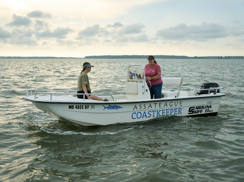 ClickandPledge's tweet card. Project Ocean Assateague Island – By Land, Air and Sea By Land Project Ocean took me and Rod, director of photography, to Maryland’s Eastern Shore for a few days during a somewhat toasty early July. ...