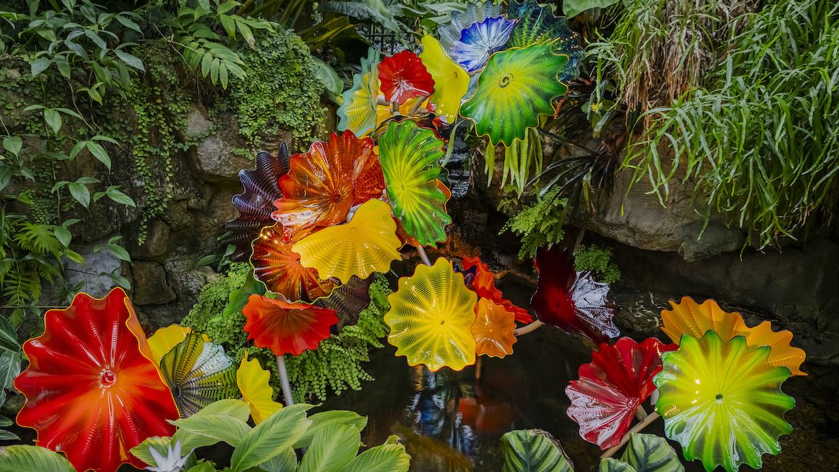 Create4Adelaide's tweet card. The Adelaide Botanic Garden is set to host contemporary glass artist Dale Chihuly's Garden Cycle exhibition next year.