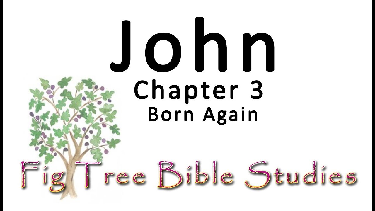 MAJDrummer's tweet card. John 3 (Born Again)
