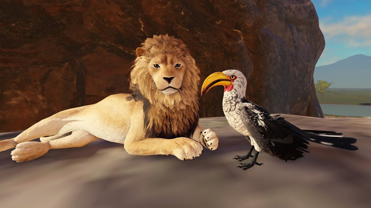 noyoraa's tweet card. Yellow Hornbill Savannah Life Preview