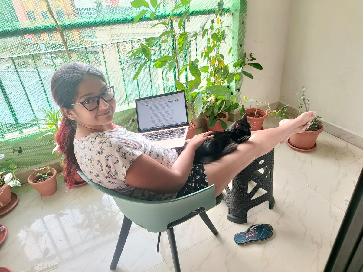 ThisisAnneliseL's tweet card. A quiet update from a year that’s been heavy, humbling, and full of growth