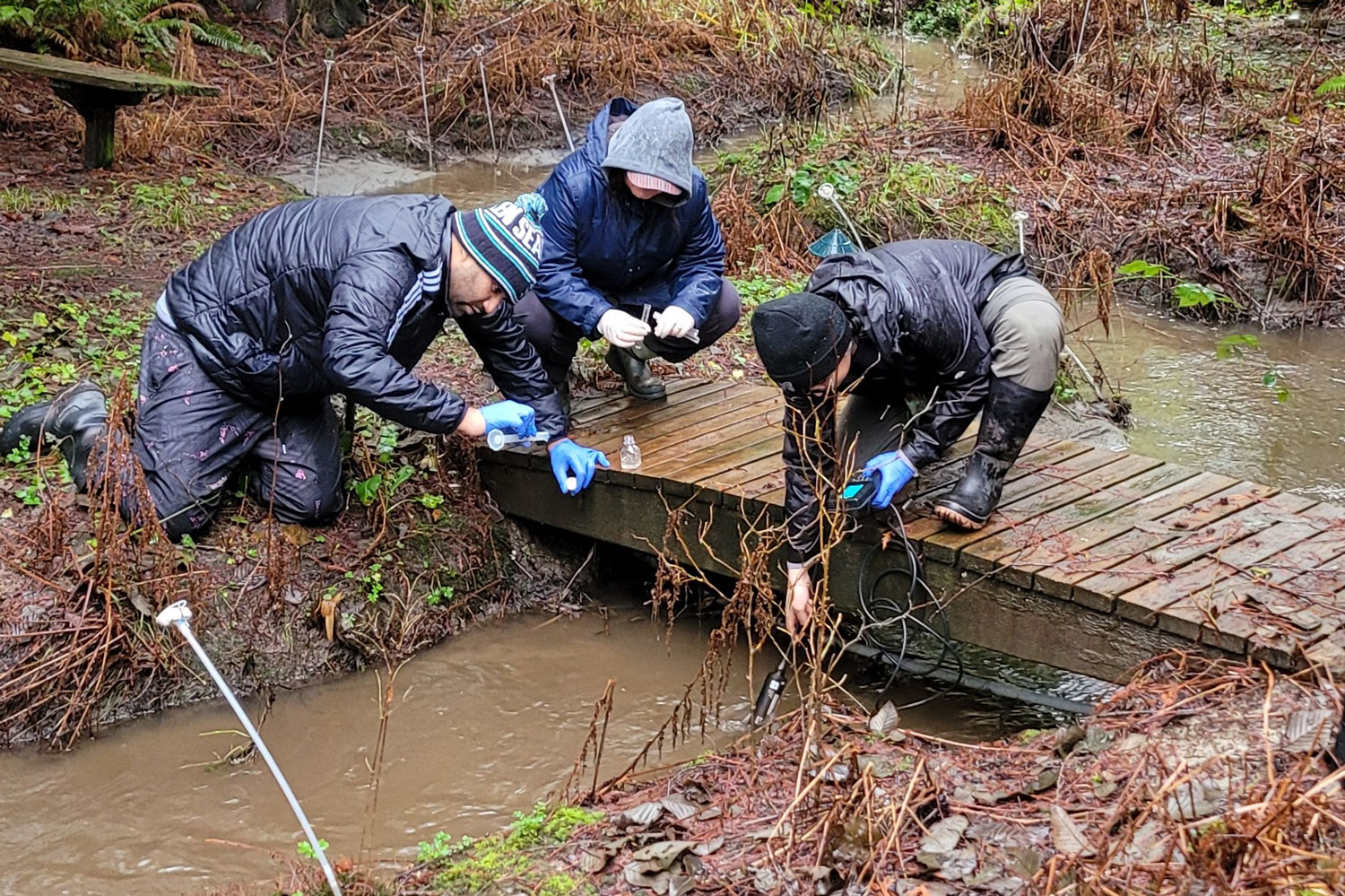 UWBothell's tweet card. Students establish baselines for two urban watersheds in Northern King County. 