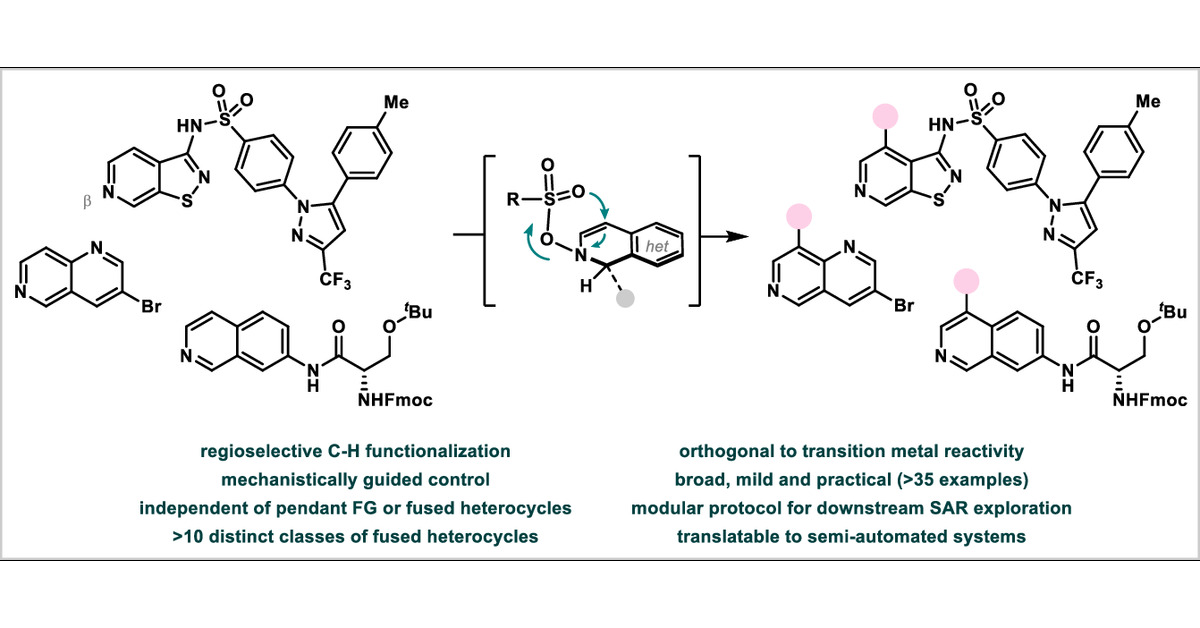 ObradorsCarla's tweet card. Direct manipulation of C–H bonds enclosed in complex scaffolds persists today as an elusive disconnection when aiming for high and predictable site-selectivity. Its development toward the late-stage...