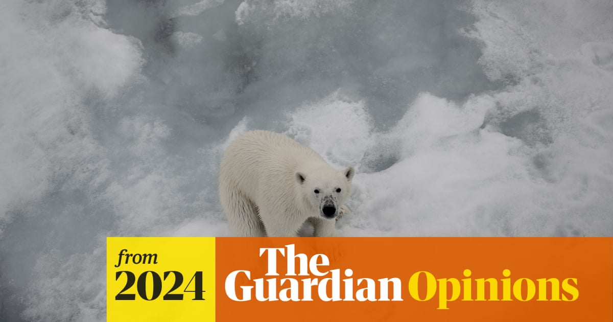 guardianeco's tweet card. Reduce emissions, build resilience, repair ecosystems, remove greenhouse gases: these are the four Rs that can save us, says David King, chair of the global Climate Crisis Advisory Group