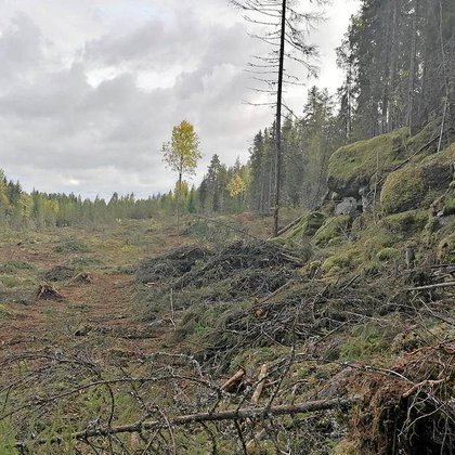 Tweet card summary image