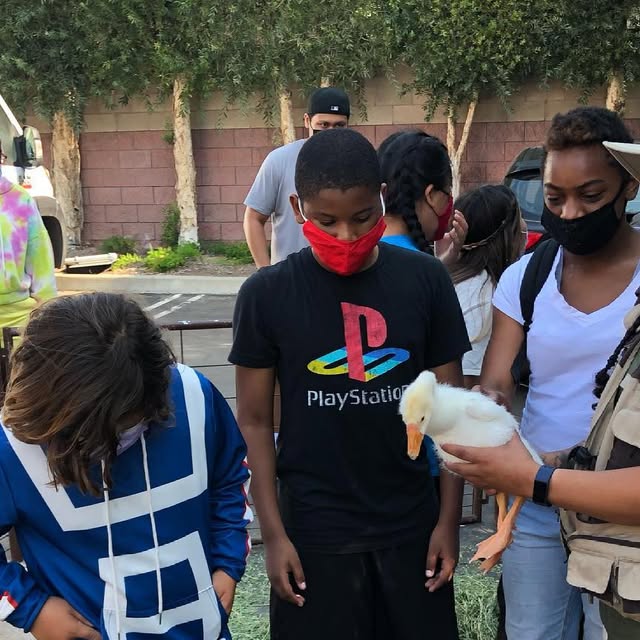 pfspasadena's tweet card. Partnership for Success (@pfspasadena) • Instagram photos and videos