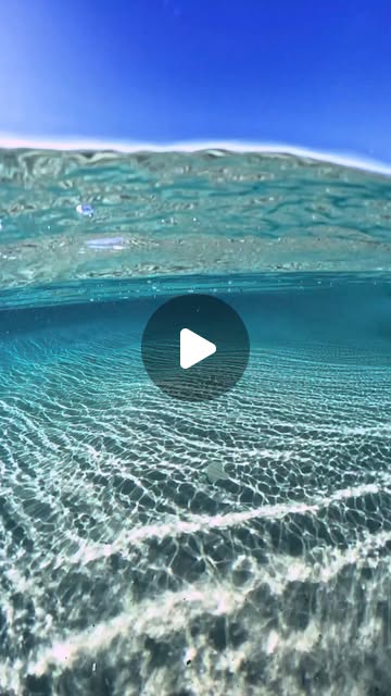 Dri2012's tweet card. Mitchell Pettigrew (@mitchellpettigrew) • Instagram reel