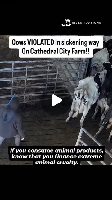 RavenTW's tweet card. Trish Raven (@raventw) • Instagram reel