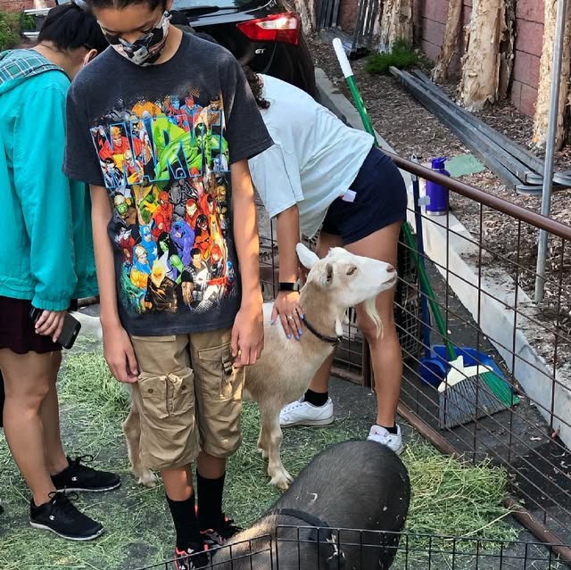 pfspasadena's tweet card. Partnership for Success (@pfspasadena) • Instagram photos and videos