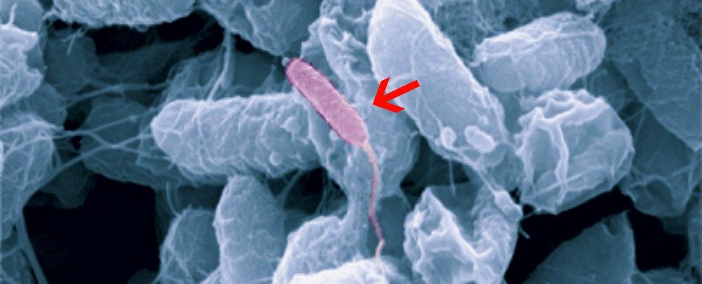 ProtomeBio's tweet card. Holy crap.