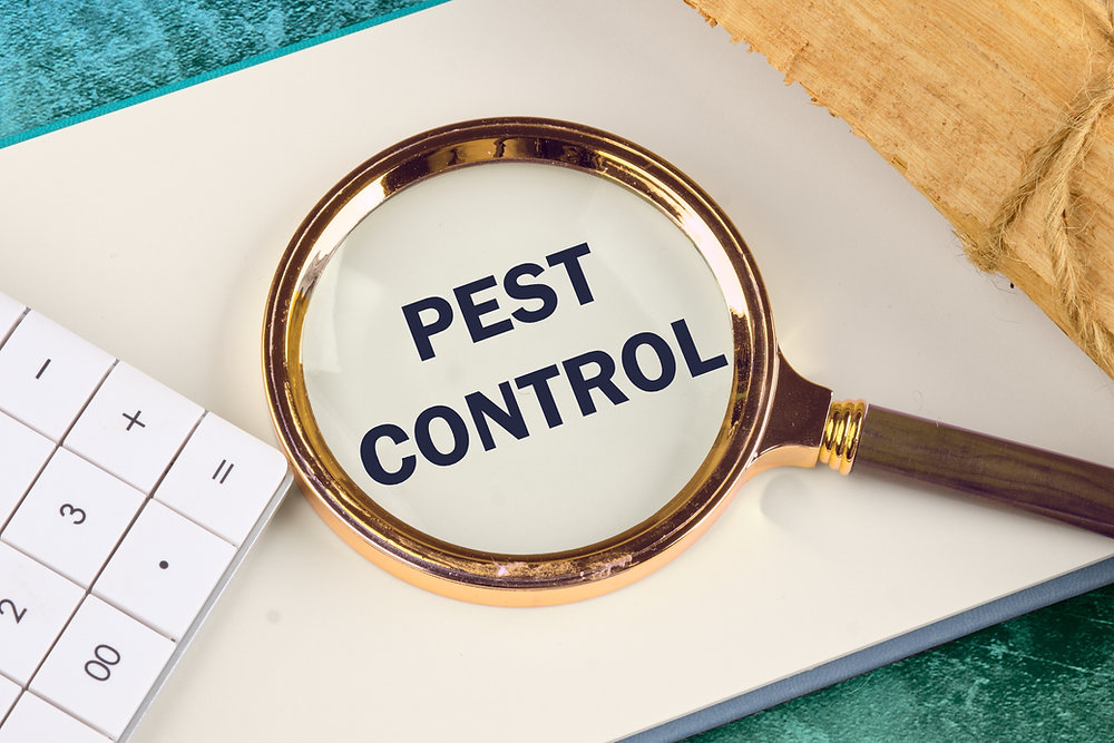 JettyPest's tweet card. Protect Your Home: Effective Pest Control Solutions