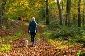 nate_harris's tweet card. raymondjames.com