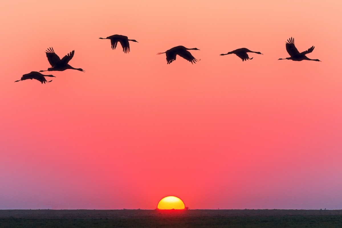 redgate's tweet card. Where should you focus your technology investment to release value, remain competitive and stay current with the latest development practices?