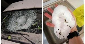 Tweet card summary image