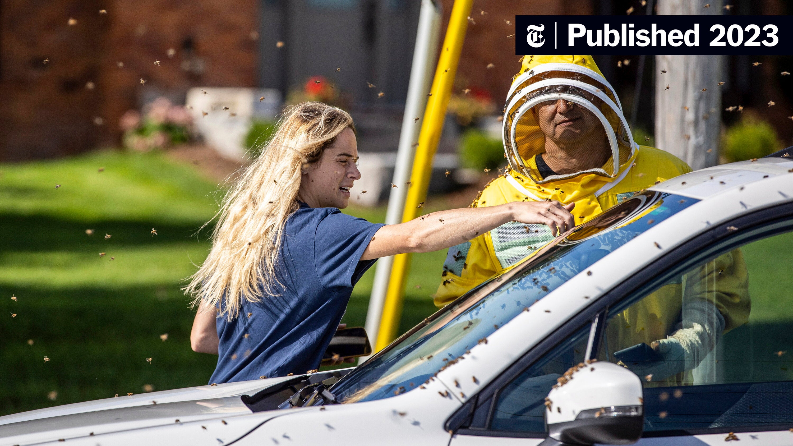 beegeek's tweet card. A dozen beekeepers converged to help rescue a swarm of angry bees that escaped when their boxes fell off a truck in Burlington, Ontario, on Wednesday.