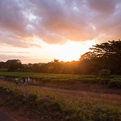 Tweet card summary image