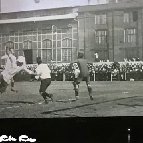 Z6ATL's tweet card. and one shepherd.