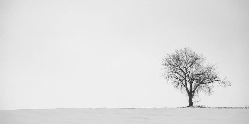 QuickRecipes_AF's tweet card. khal.com