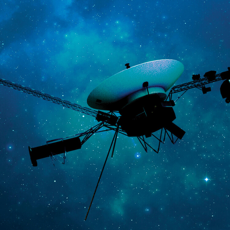 rogue_architect's tweet card. Bulletin