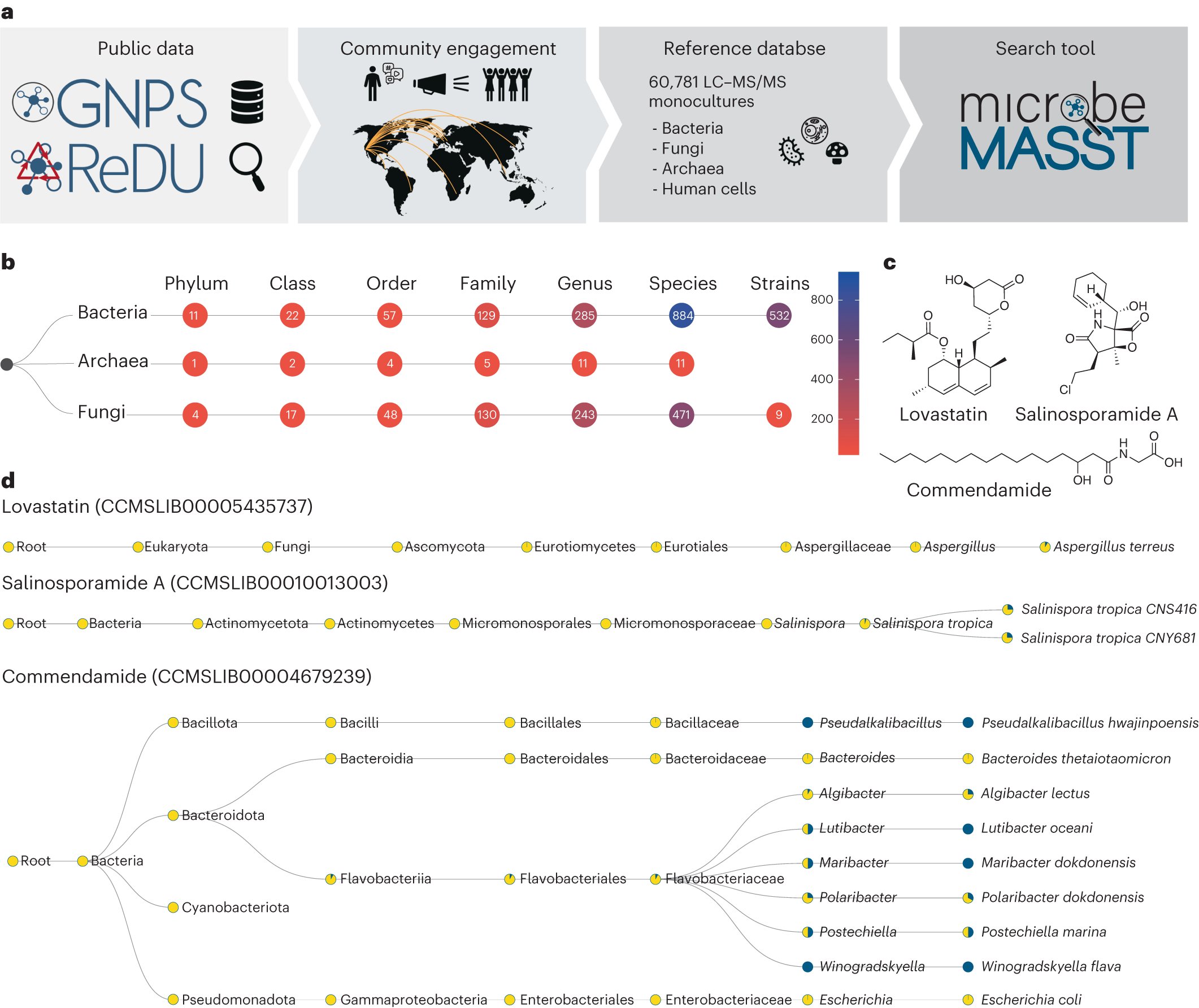 NatureMicrobiol's tweet card. Nature Microbiology - microbeMASST is a tool to associate known and unknown metabolites to microbial producers leveraging untargeted metabolomics data.