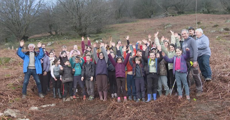 Tweet card summary image