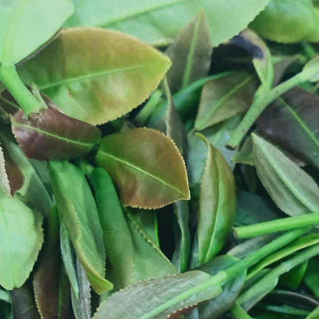 RyukyuTea's tweet card. 【公式】㈱沖縄ティーファクトリー (@okinawateafactory) • Instagram photos and videos