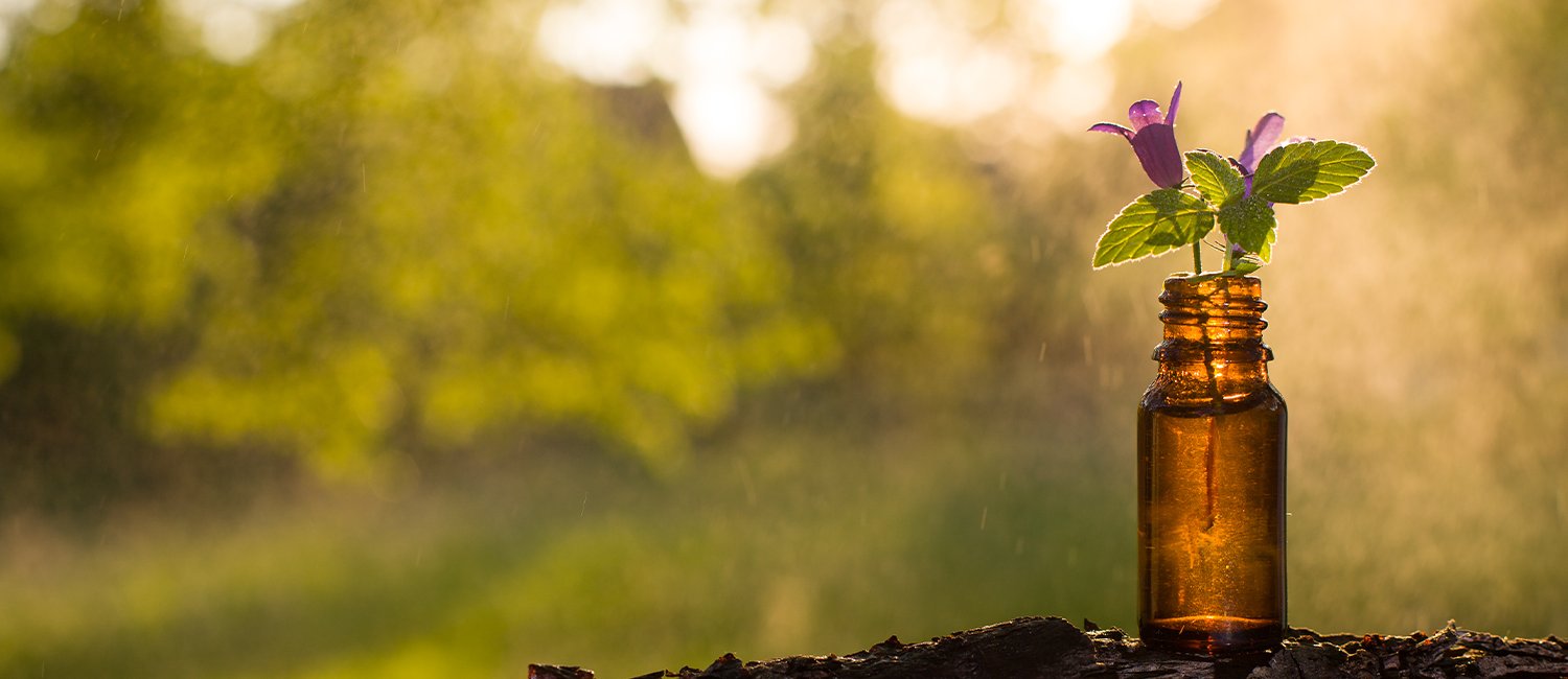 Chessadvices's tweet card. Machine learning is an ever-growing area of interest for developers, businesses, tech enthusiasts and the general public alike. Discover how it can be used with Elixir.