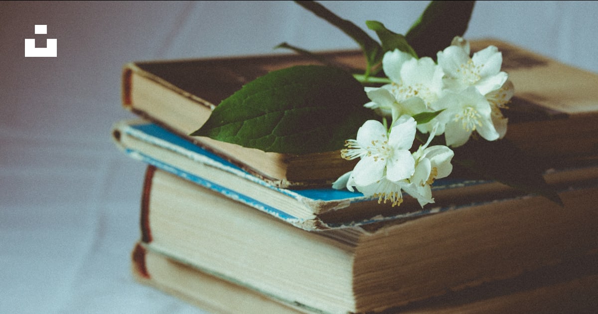 JEBurc's tweet card. Greatest treasure - books. – Download this photo by Aliis Sinisalu on Unsplash