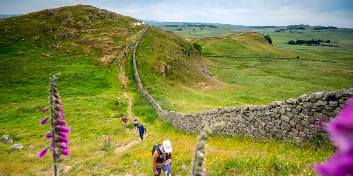 TTP_Network's tweet card. Help Rachel Evans raise money to support TTPNetwork