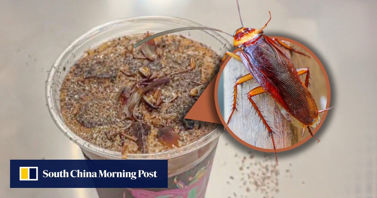 SCMPNews's tweet card. Bug-themed venue in capital city offers visitors range of caffeine boosts laced with yellow mealworms, digestive juices of carnivorous plant.
