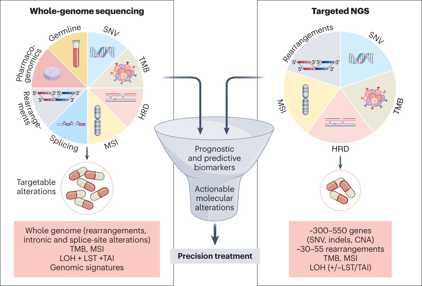 MarkARubin1's tweet card. Nature Medicine - The largest whole-genome sequencing study thus far has revealed myriad actionable alterations and potential biomarkers for 33 cancer types, but various logistical, technical and...