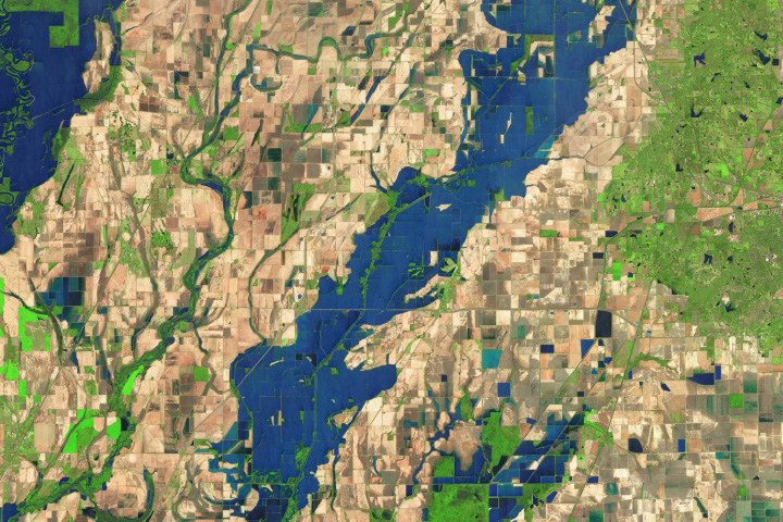 arksoydoc's tweet card. Many growers have been forced to replant as a prolonged flood killed off crops in the Arkansas Delta.